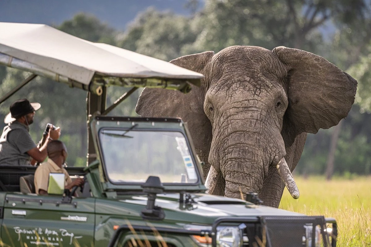 Game drive at Masai Mara with a stay at Governor's Il Moran Camp.
