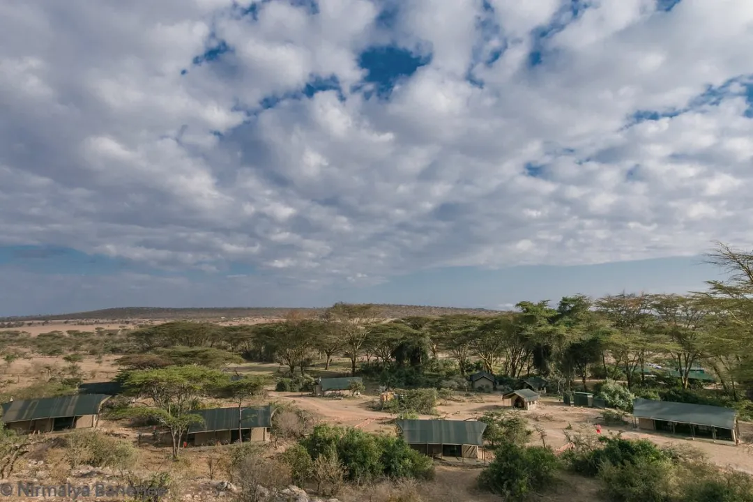 Discover Porini Cheetah Camp in Ol Kinyei Conservancy, perfect for an intimate safari experience. Enjoy abundant wildlife sightings, including cheetahs and lions, with personalized service from just six tents. Read on to see what makes this camp a top safari destination.