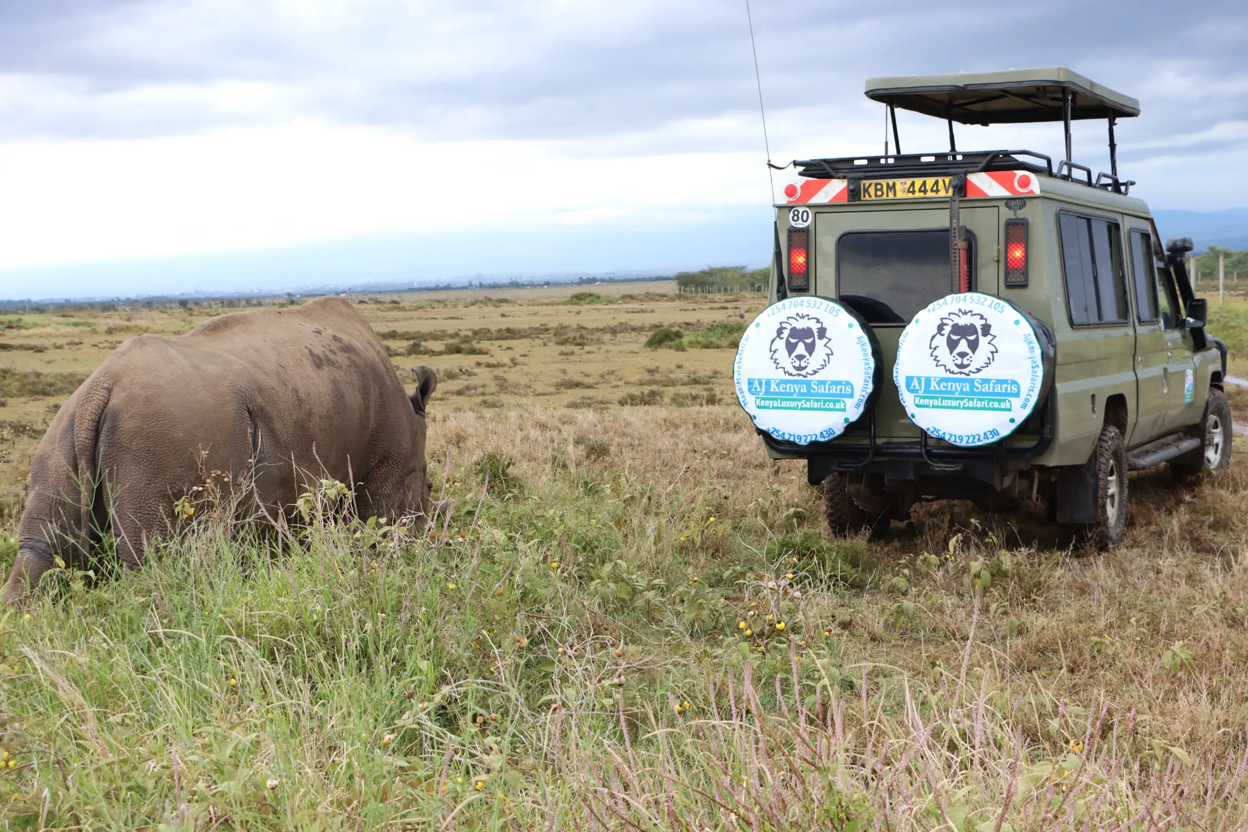 Aj kenya safari Landcruiser