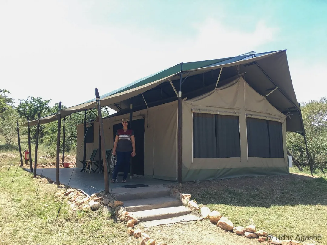 Spacious Tents at Porini Cheetah Camp