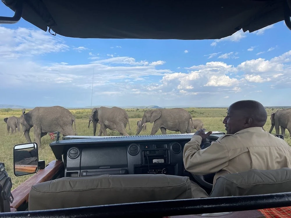 Evening Game Drives