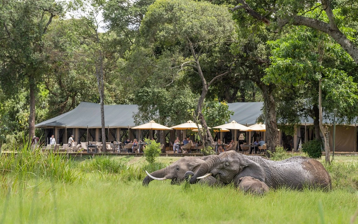 Guests during game drives at Elewana Sand river Masai Mara camp.