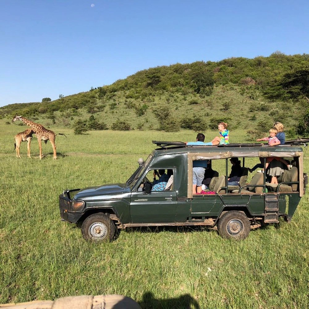 Evening Game drive