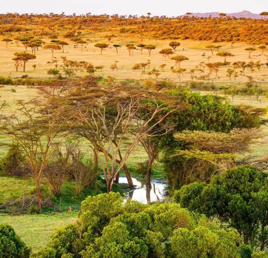 mara-serengeti ecosystem