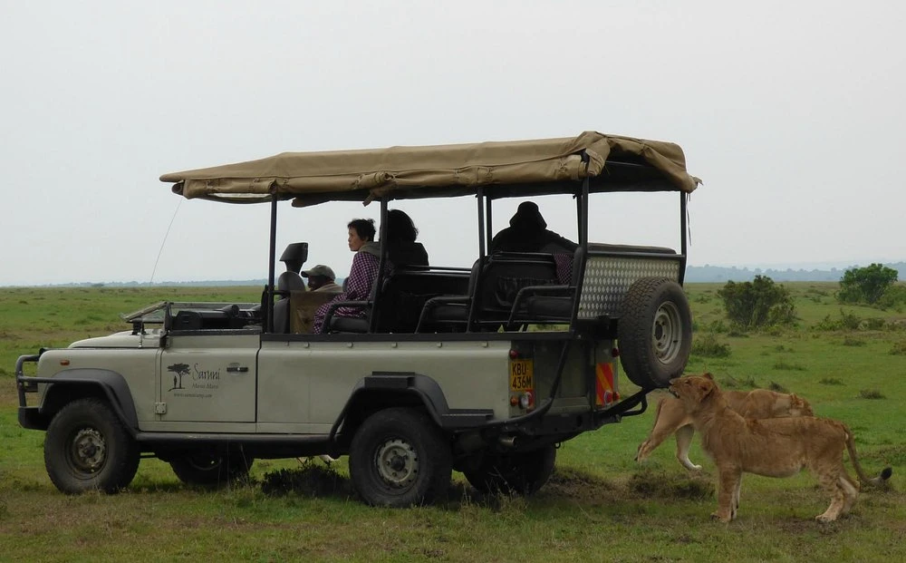 Game Drives