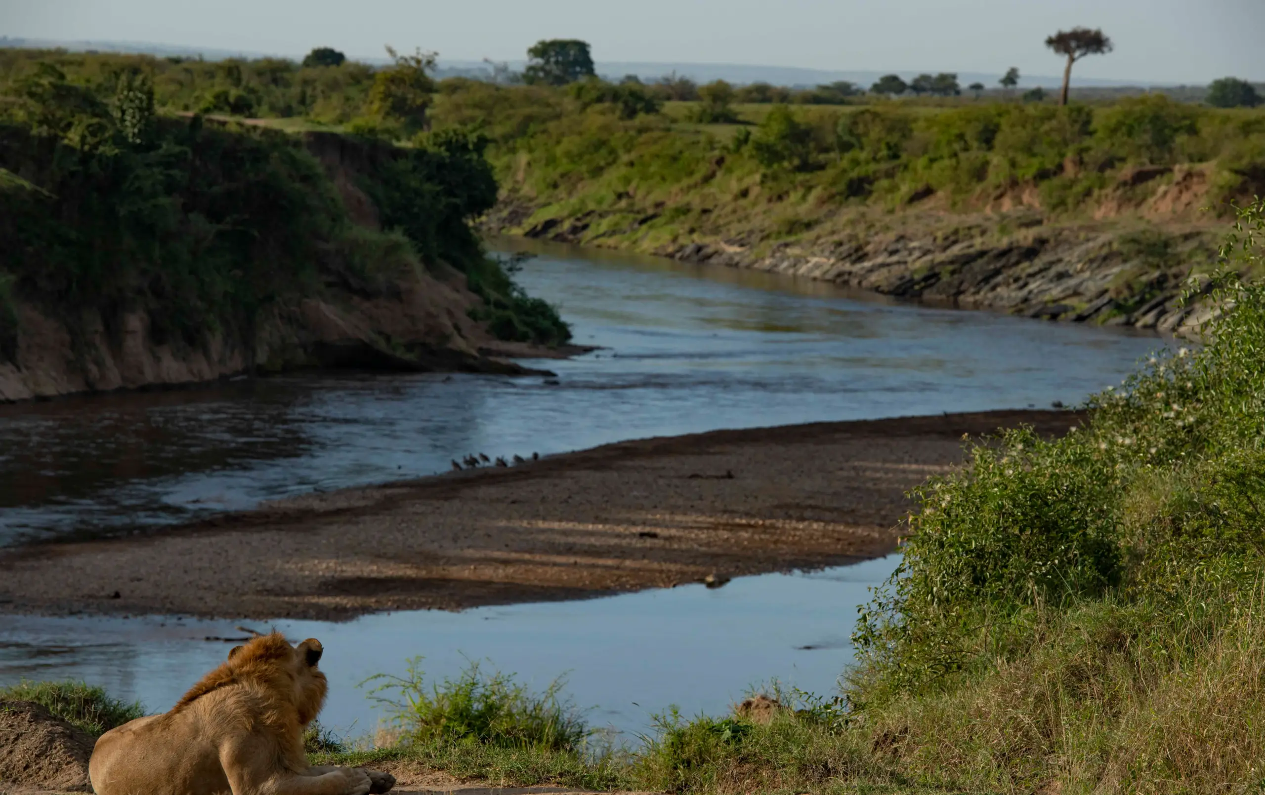 The Mara River