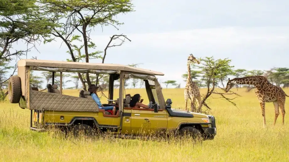 daytime game drive