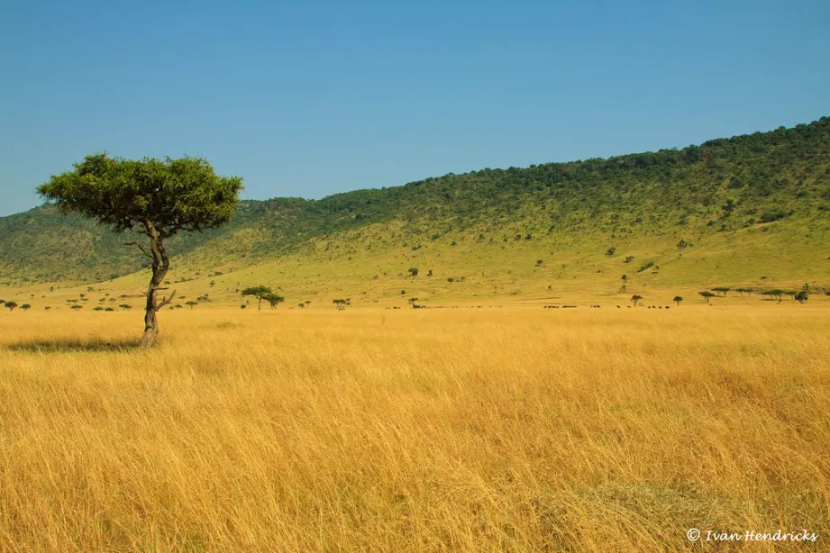 the oloololo escarpment