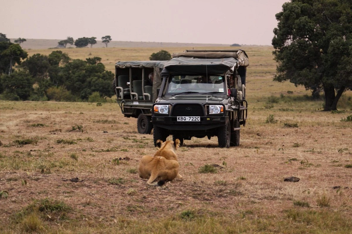 Game drive with the serian- the original