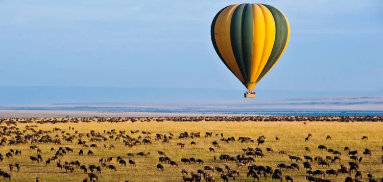 Hot air balloon safari over wildebeests grazing