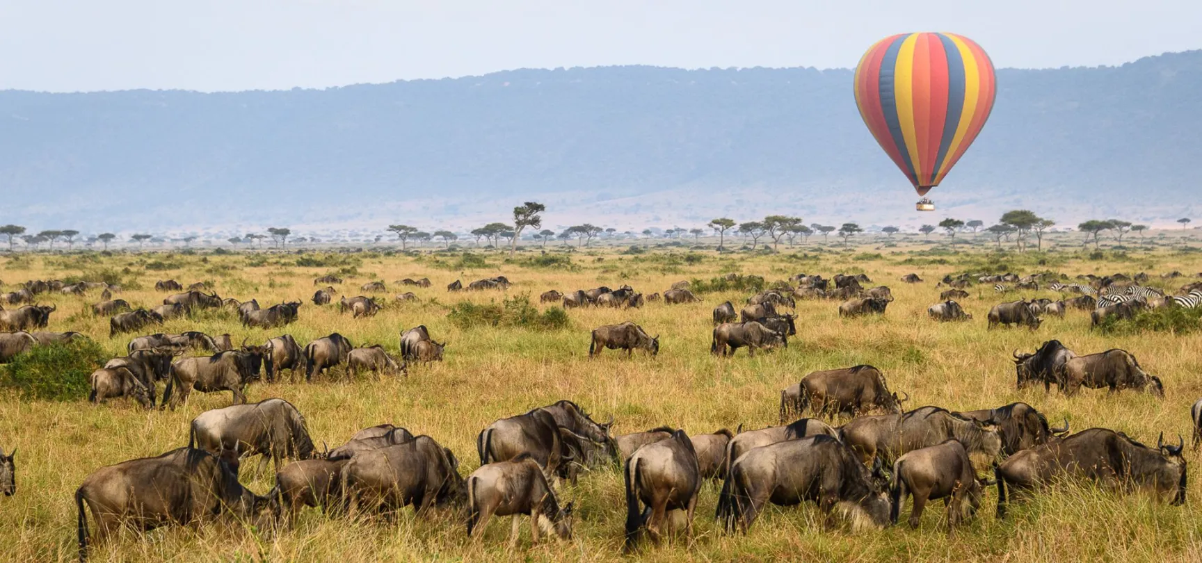 Hot Air balloon safari