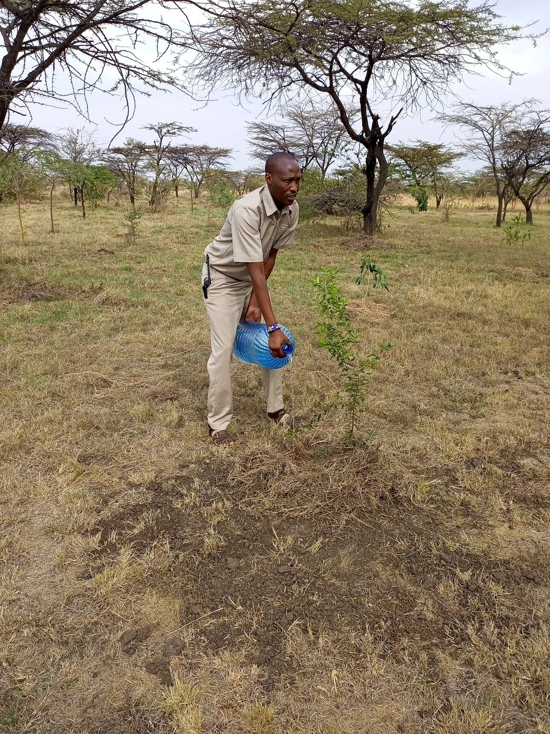 Environmental conservation