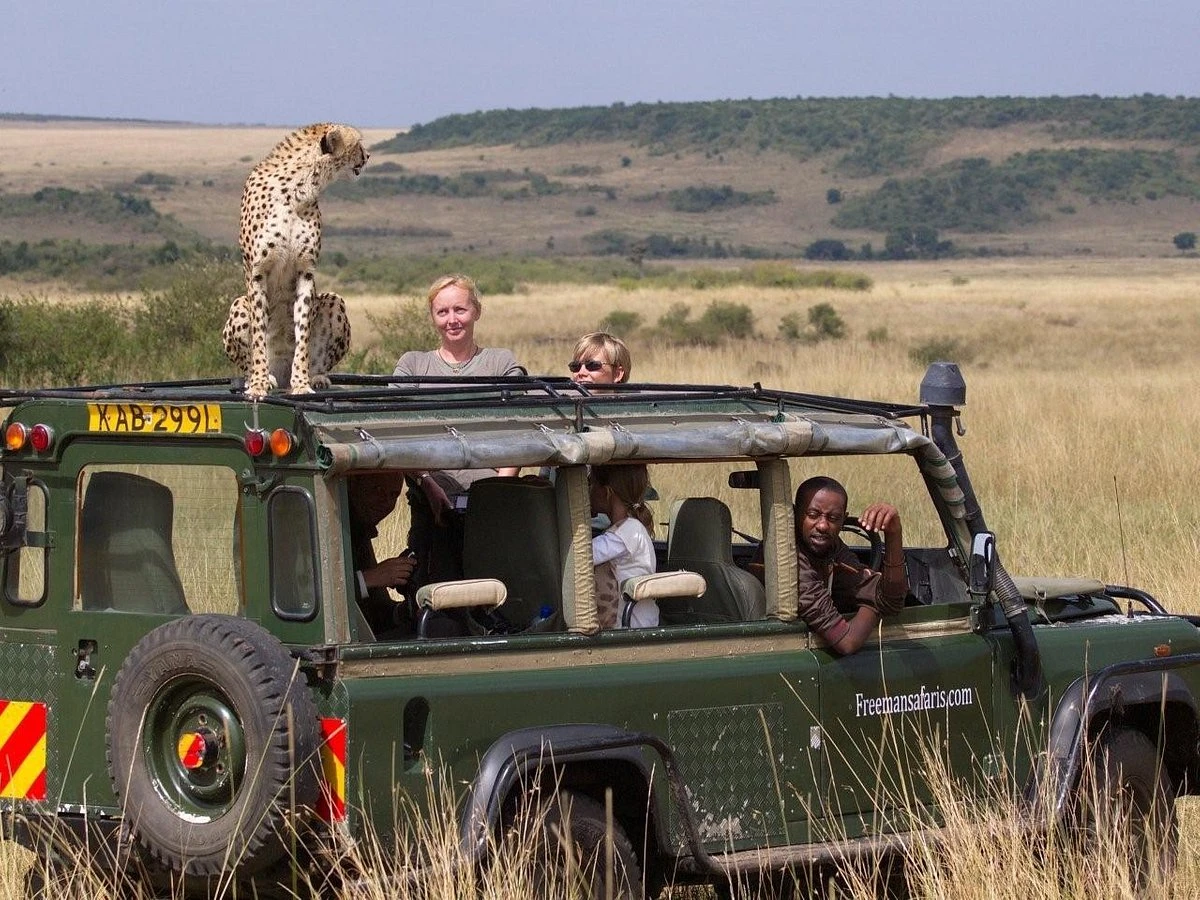 Eveninig game drive at rekero camp