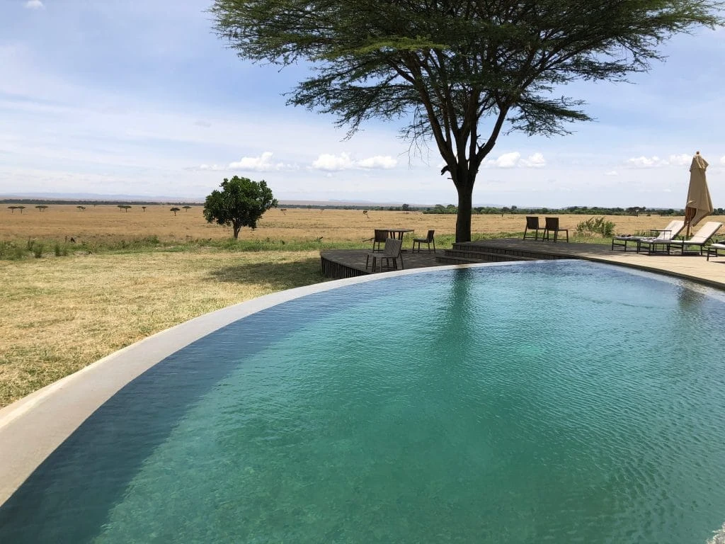 Swimming pool at Governor's Camp