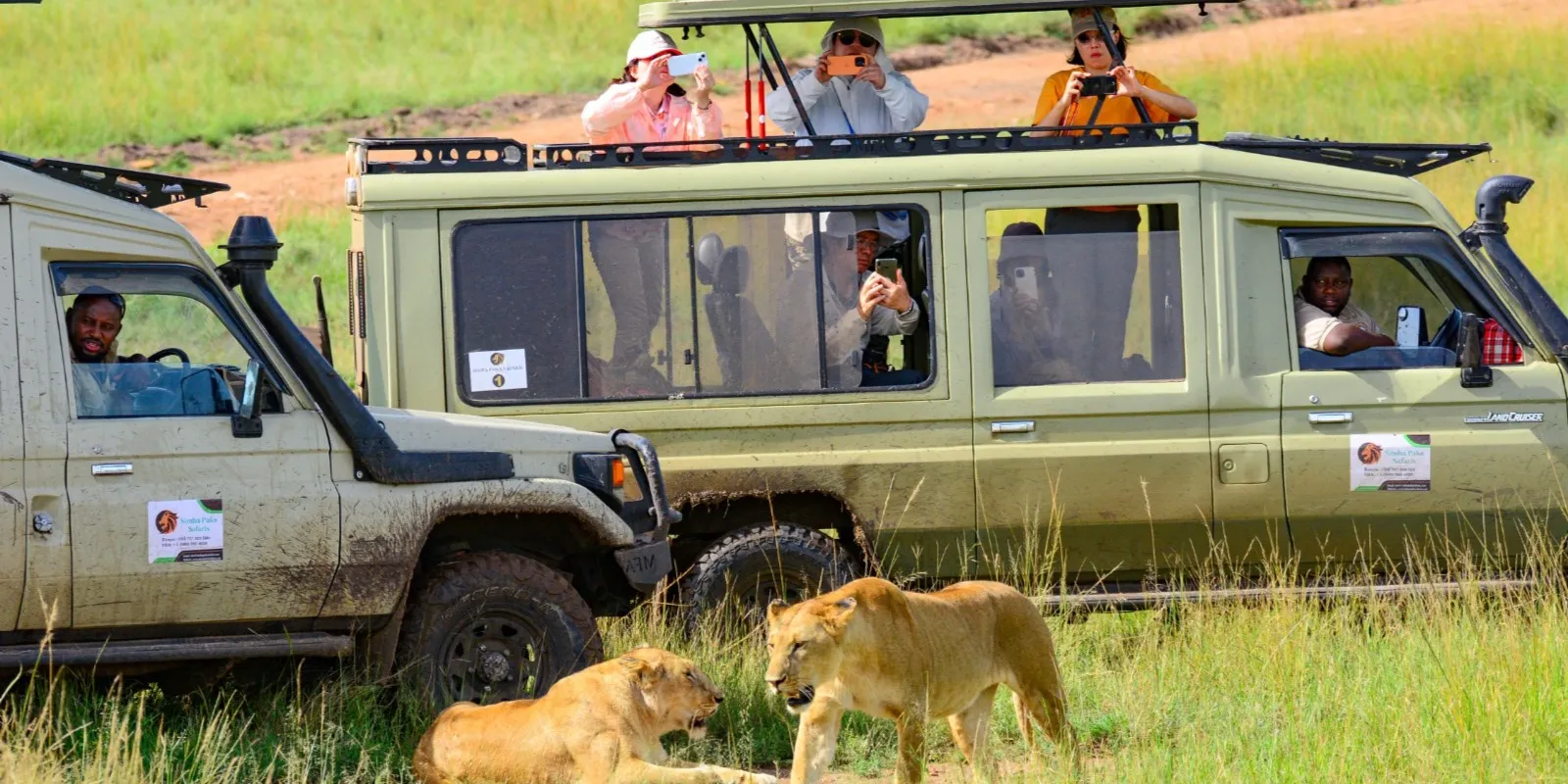 Guided Game drives