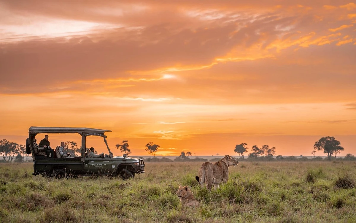 Guided Game drive