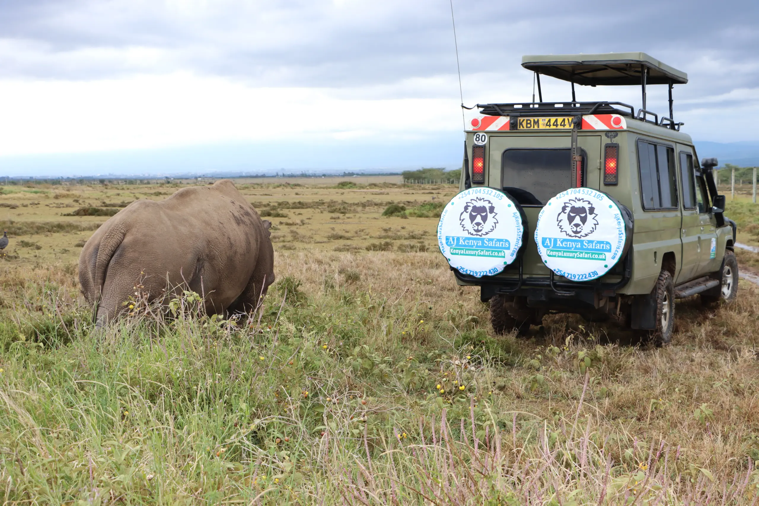 Guided Safari by Aj Kenya Safari