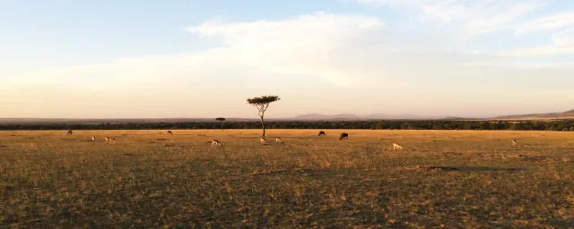 A dry Season in the month of July