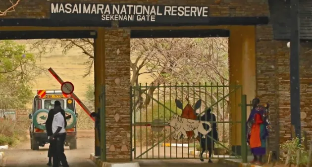 Sekenani Gate in the Masai mara