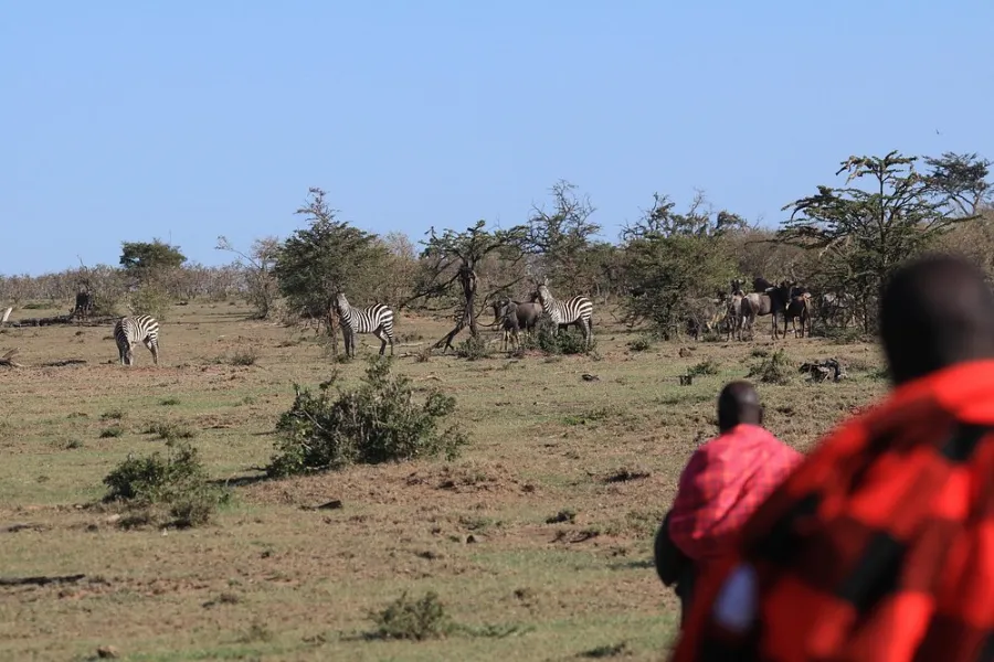 walking safari