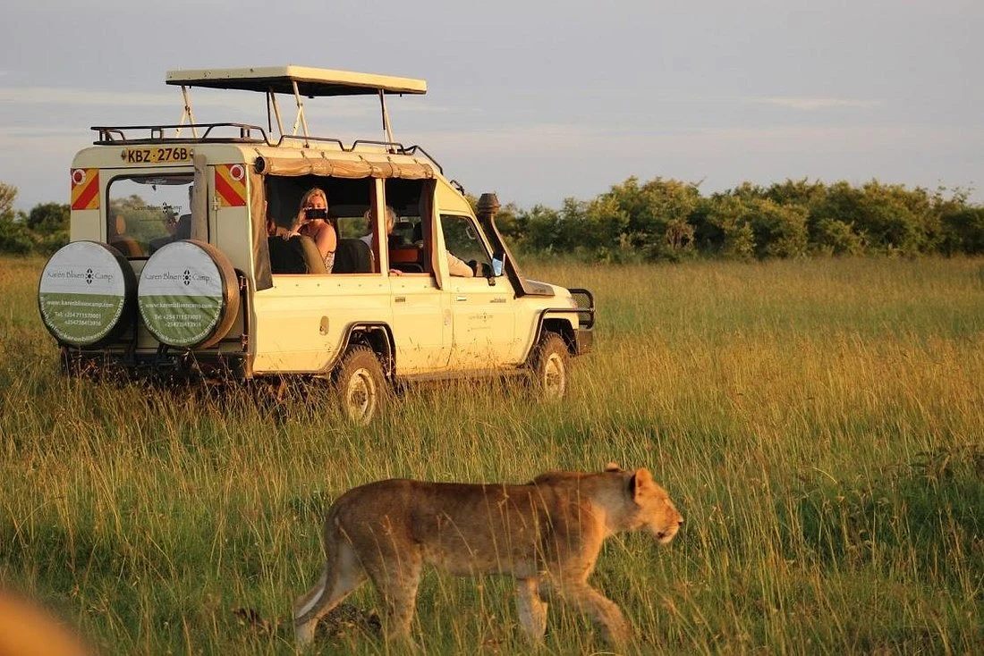 Evening drive at the masai mara national reserve