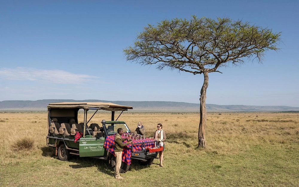 Game drive witha little picnic lunch