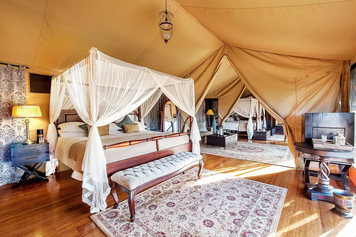 Family tent: Safari to Masai Mara