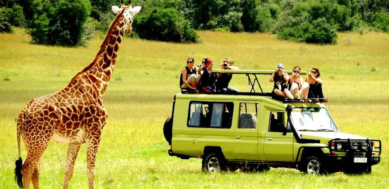 Jeep safaris