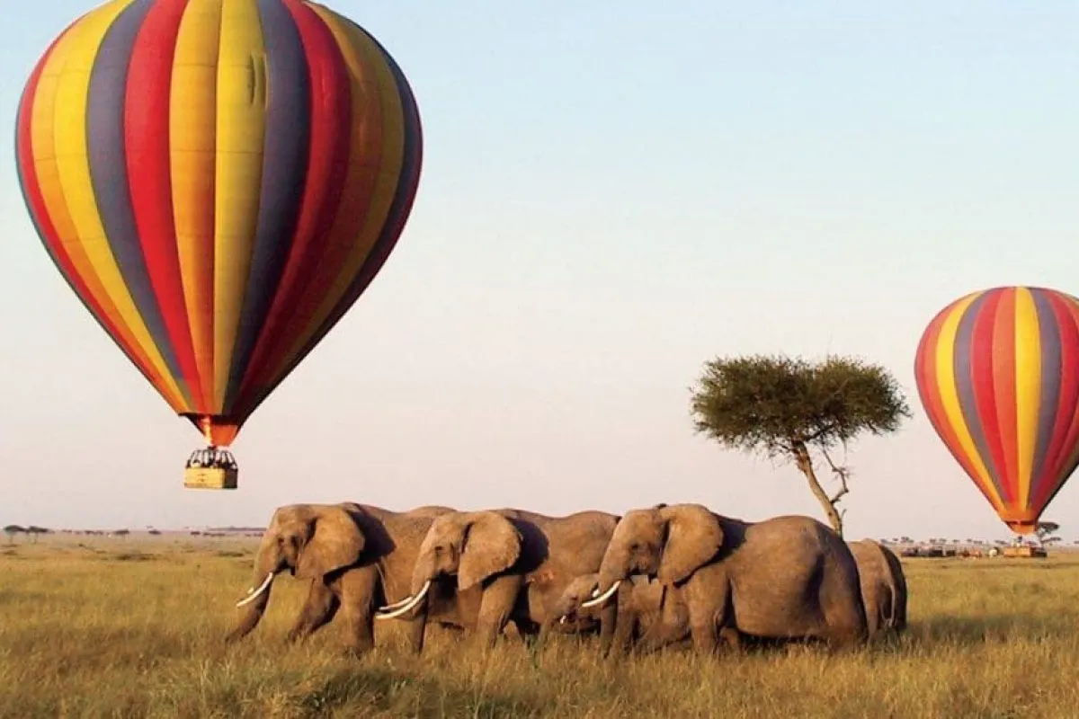 Hot Air Balloon Safaris