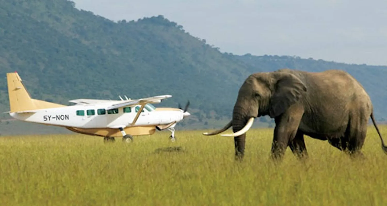 Private flight in Masai Mara