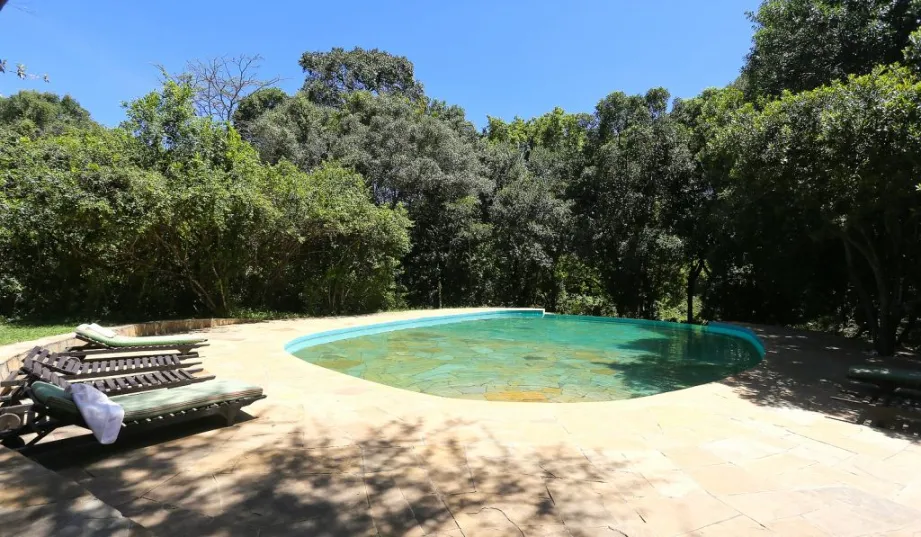 sekenani swimming pool in sekenani camp