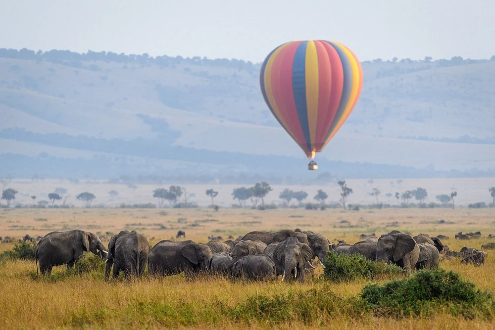 The Great Migration