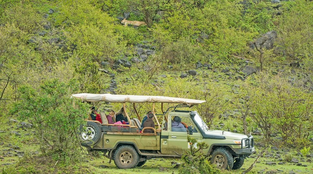 Mara Triangle game drive
